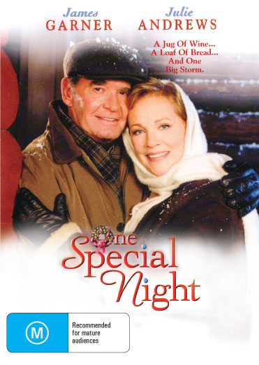 One Special Night