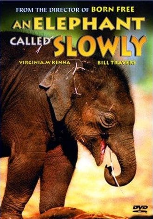 An Elephant Called Slowly in London on DVD, Action, Virginia McKenna, Bill Travers
