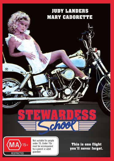 Stewardess School