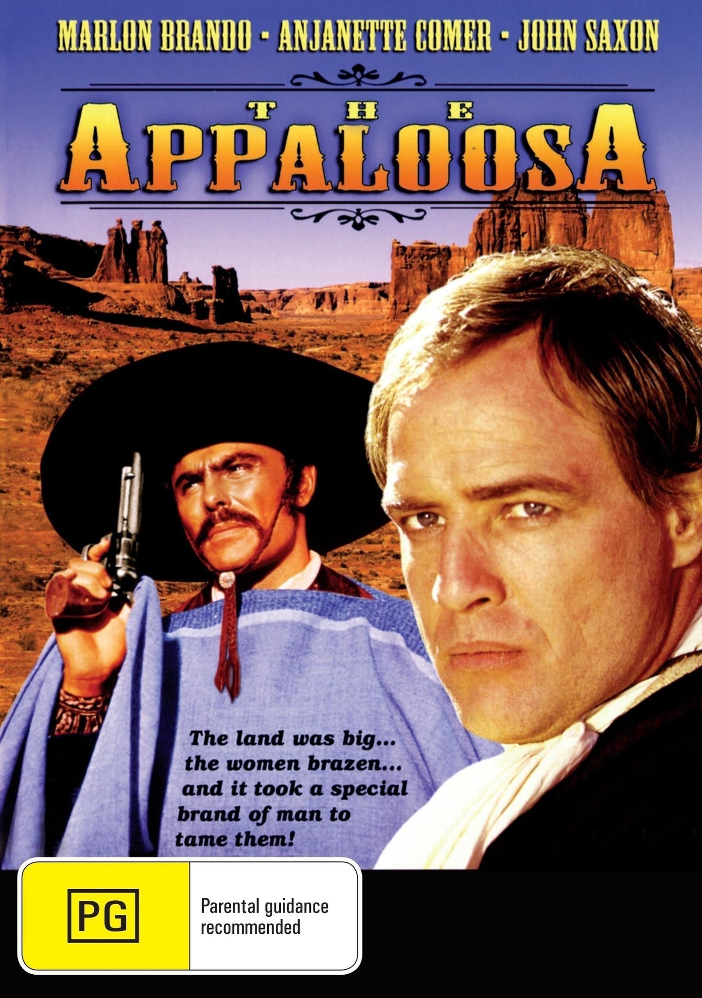 The Appaloosa