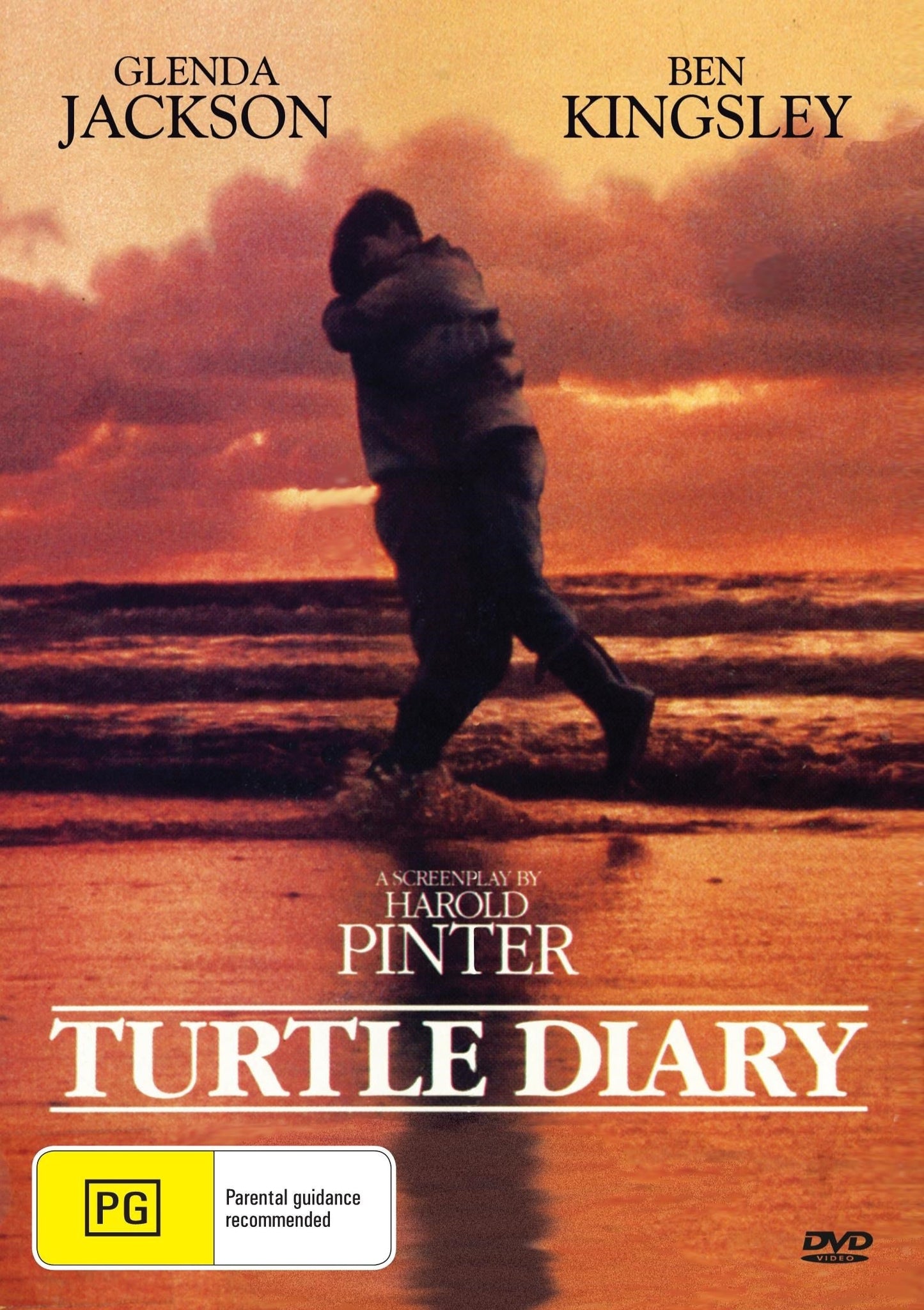 Turtle Diary