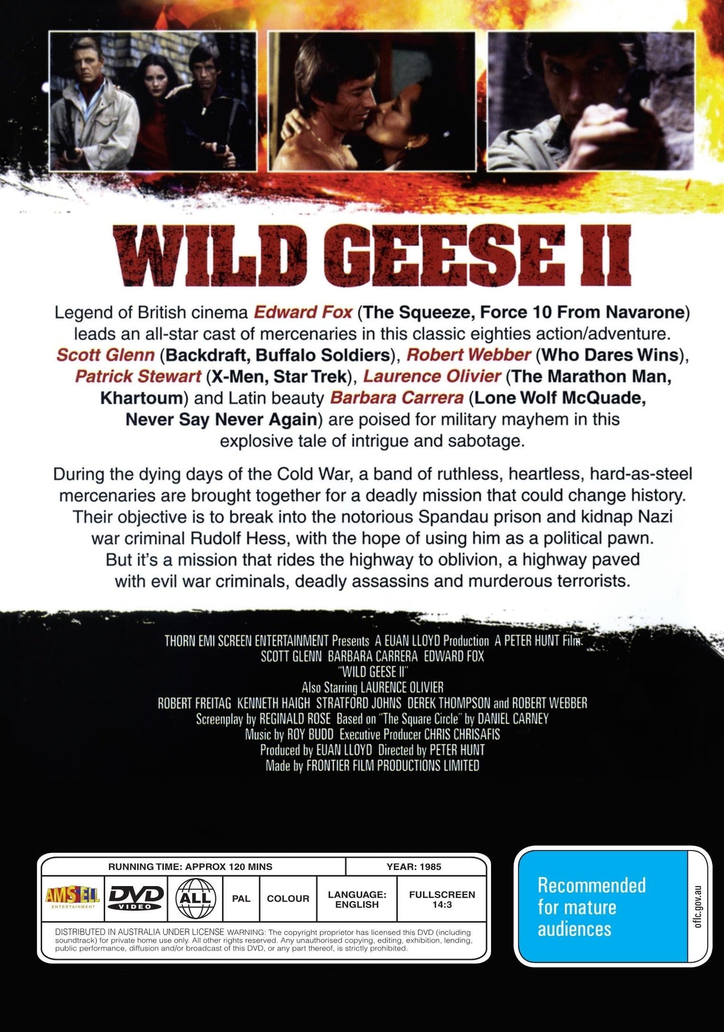 Wild Geese II