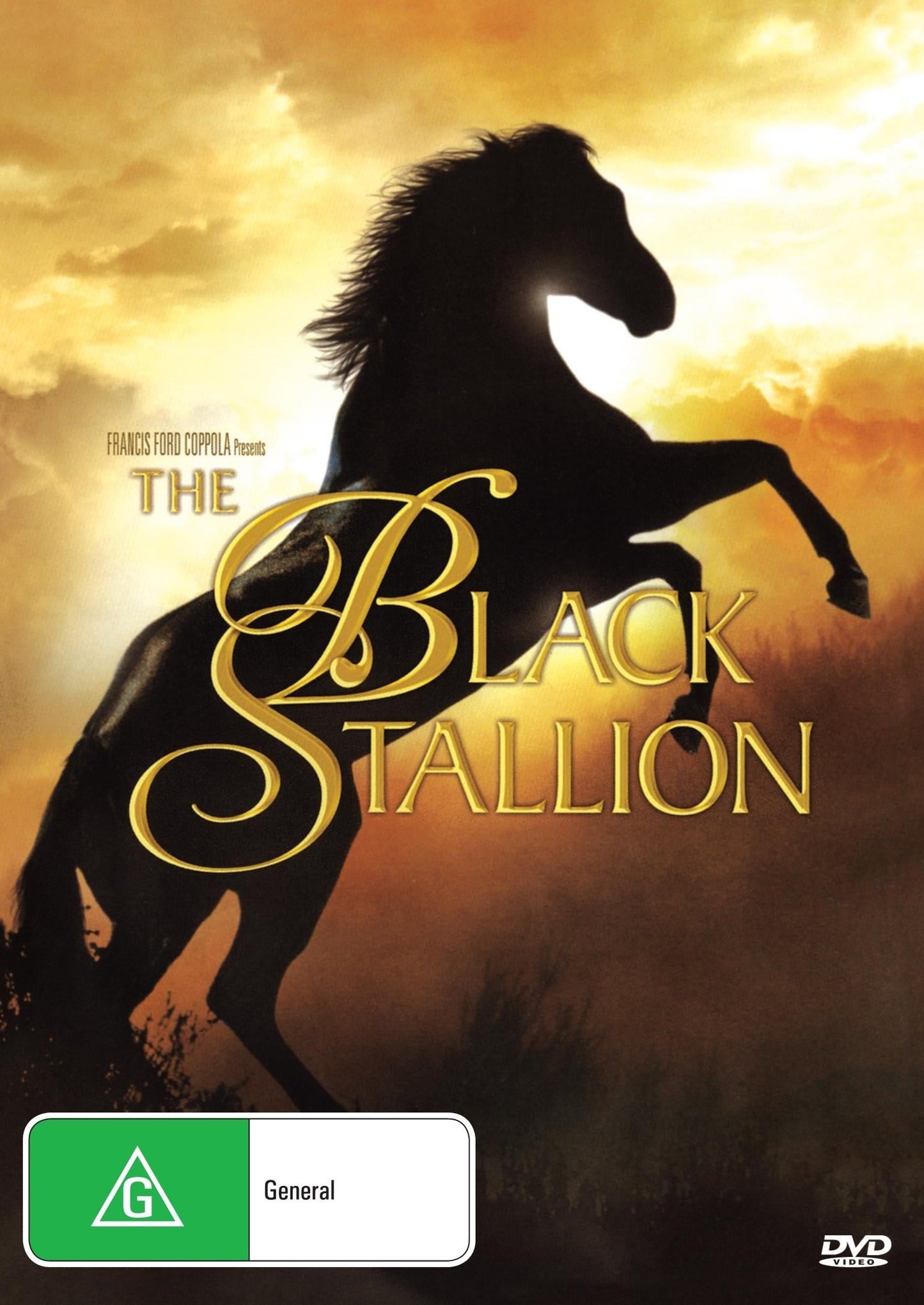 The Black Stallion