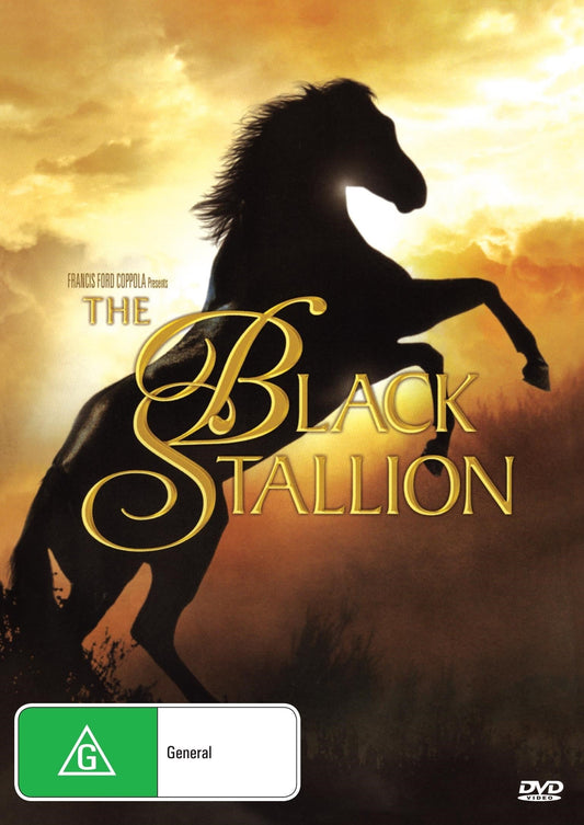 The Black Stallion